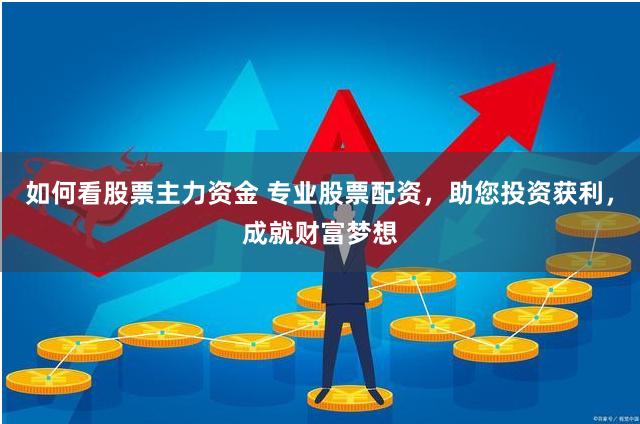 如何看股票主力资金 专业股票配资，助您投资获利，成就财富梦想